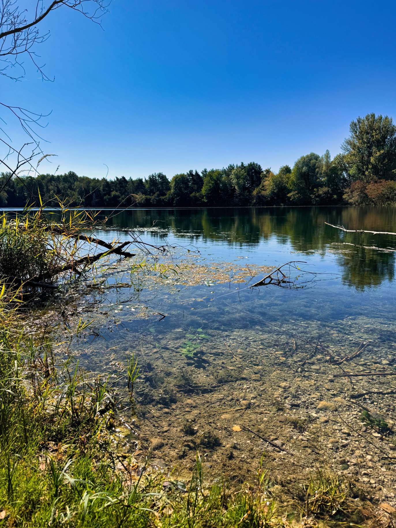 Kleinen Viehofner See